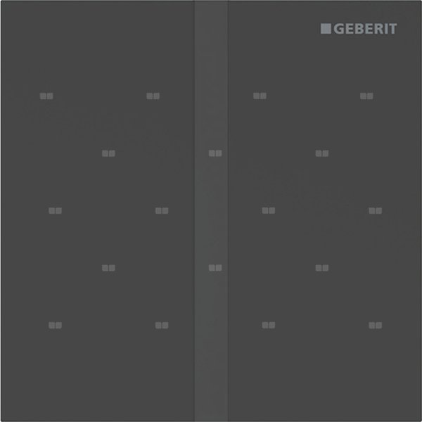 Elektroniczny zawór spłukujący Geberit do pisuaru, zasilanie 230V, Typ 40, stal nierdzewna czarny, prostokątny