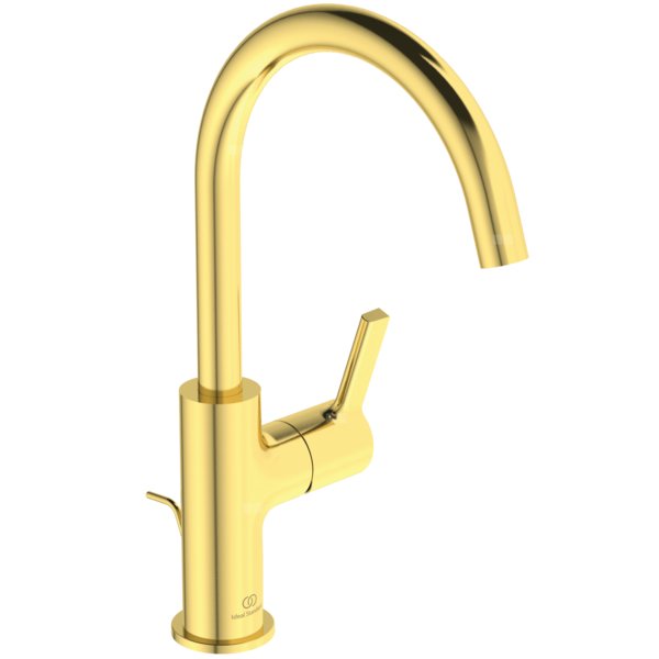 JOY BATERIA UMYWALKOWA WYS. 5L PUW/M BR GOLD