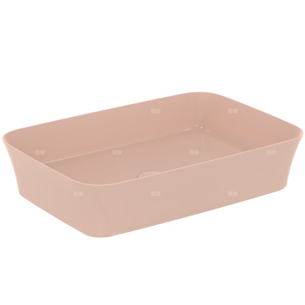 IPALYSS UM. 55X38 B/O B/P BRĄZ. CIELISTY