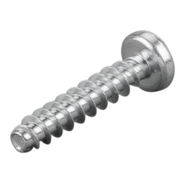 Śruba soczewkowa PT 4x20